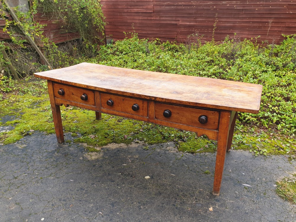 Large 19th century country house serving table View VII