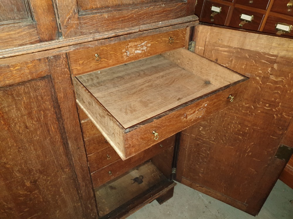 Early Victorian oak specimen cabinet View V