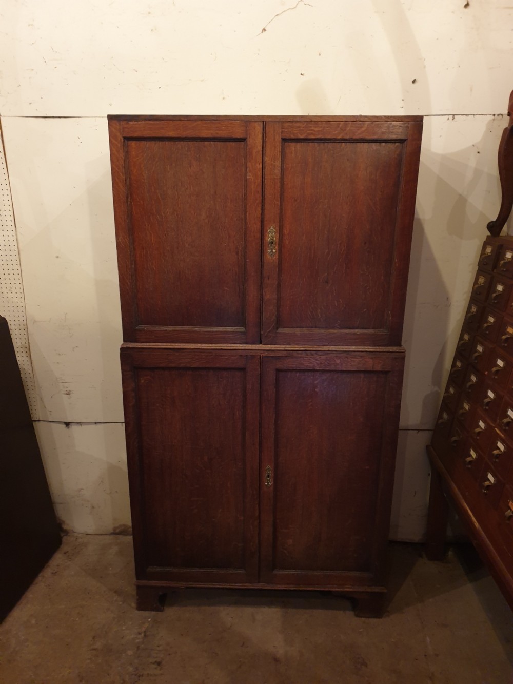 Early Victorian oak specimen cabinet View VI