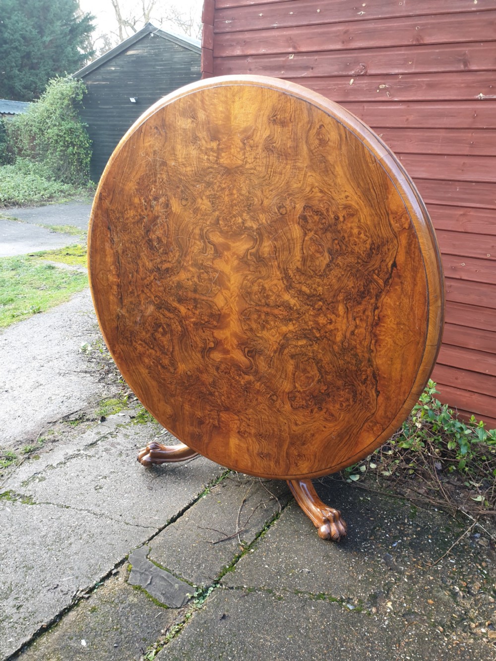 Large 8 seater walnut round pedestal dining table  View II
