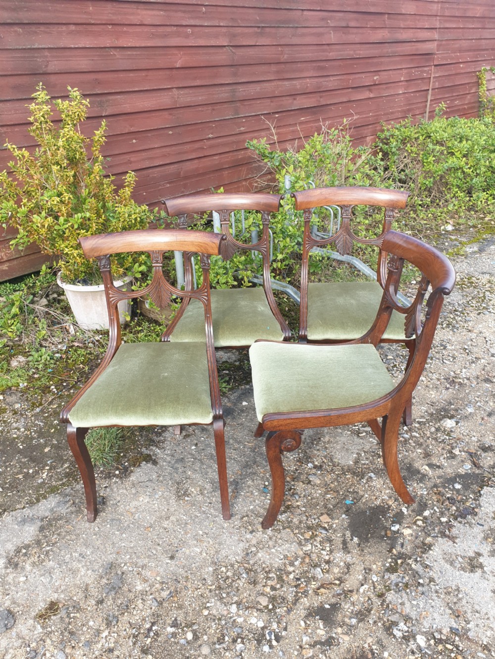 Set of Regency chairs with carved backs