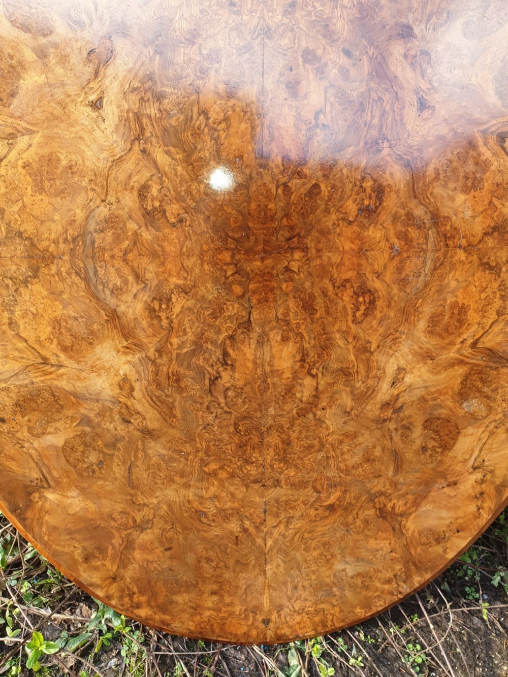 Good Victorian walnut oval table top. View II
