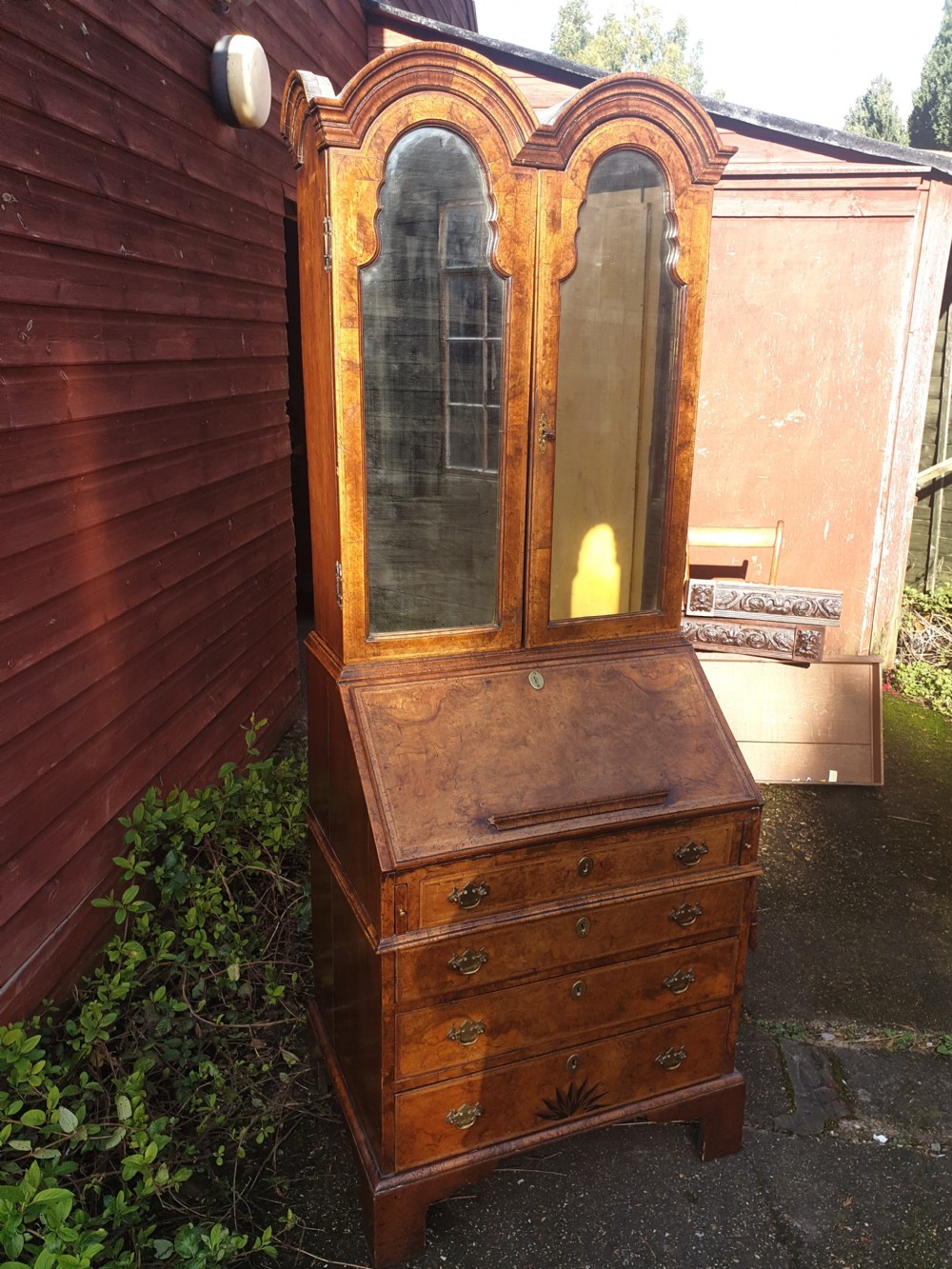 28 inch wide--Queen Anne revival walnut bureau bookcase.  View VI