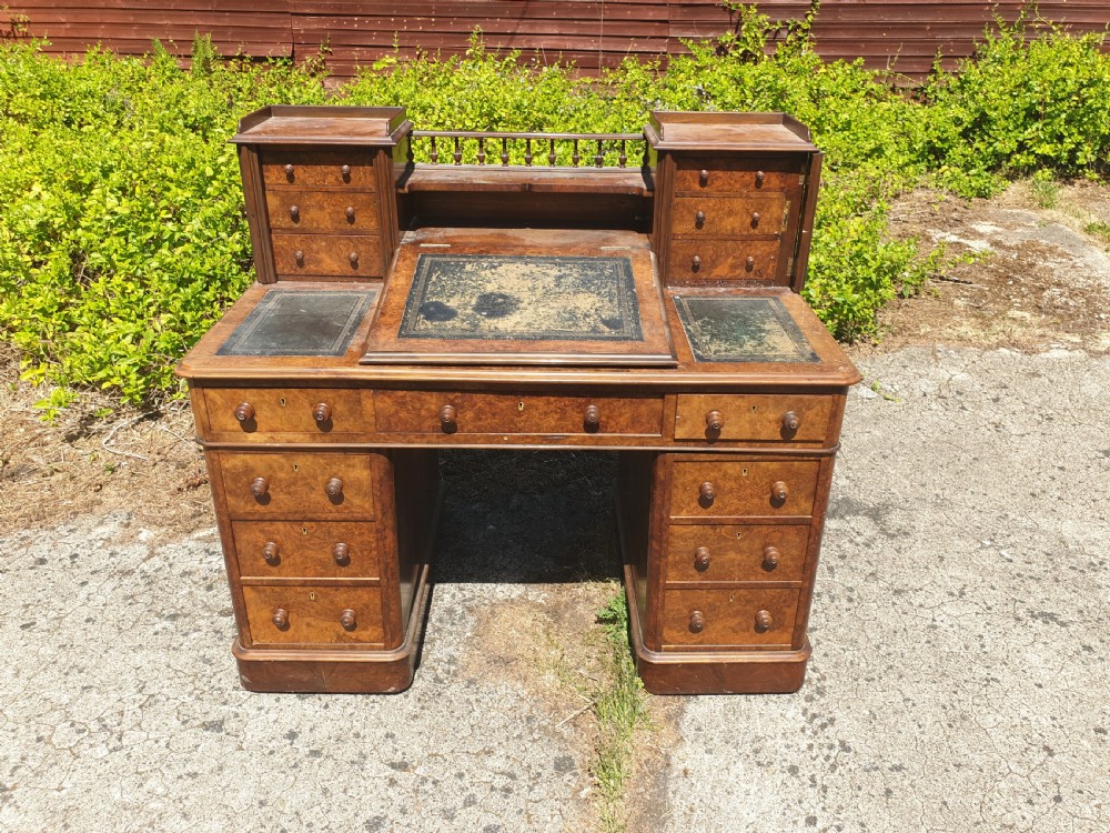 Victorian burr walnut pedestal desk. 