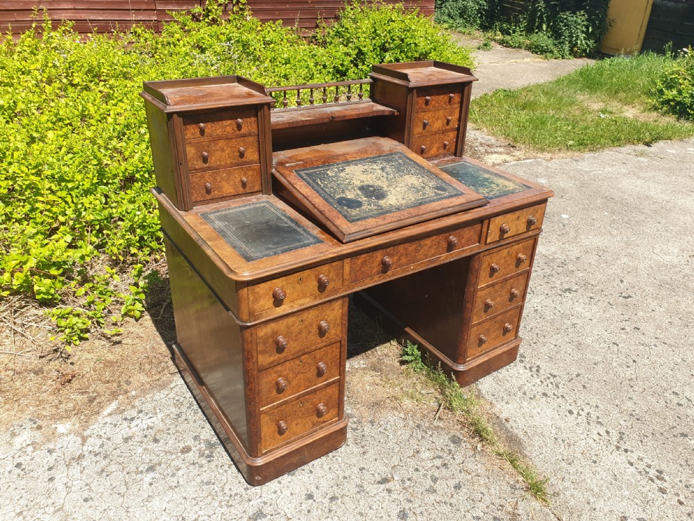 Victorian burr walnut pedestal desk.  View VII