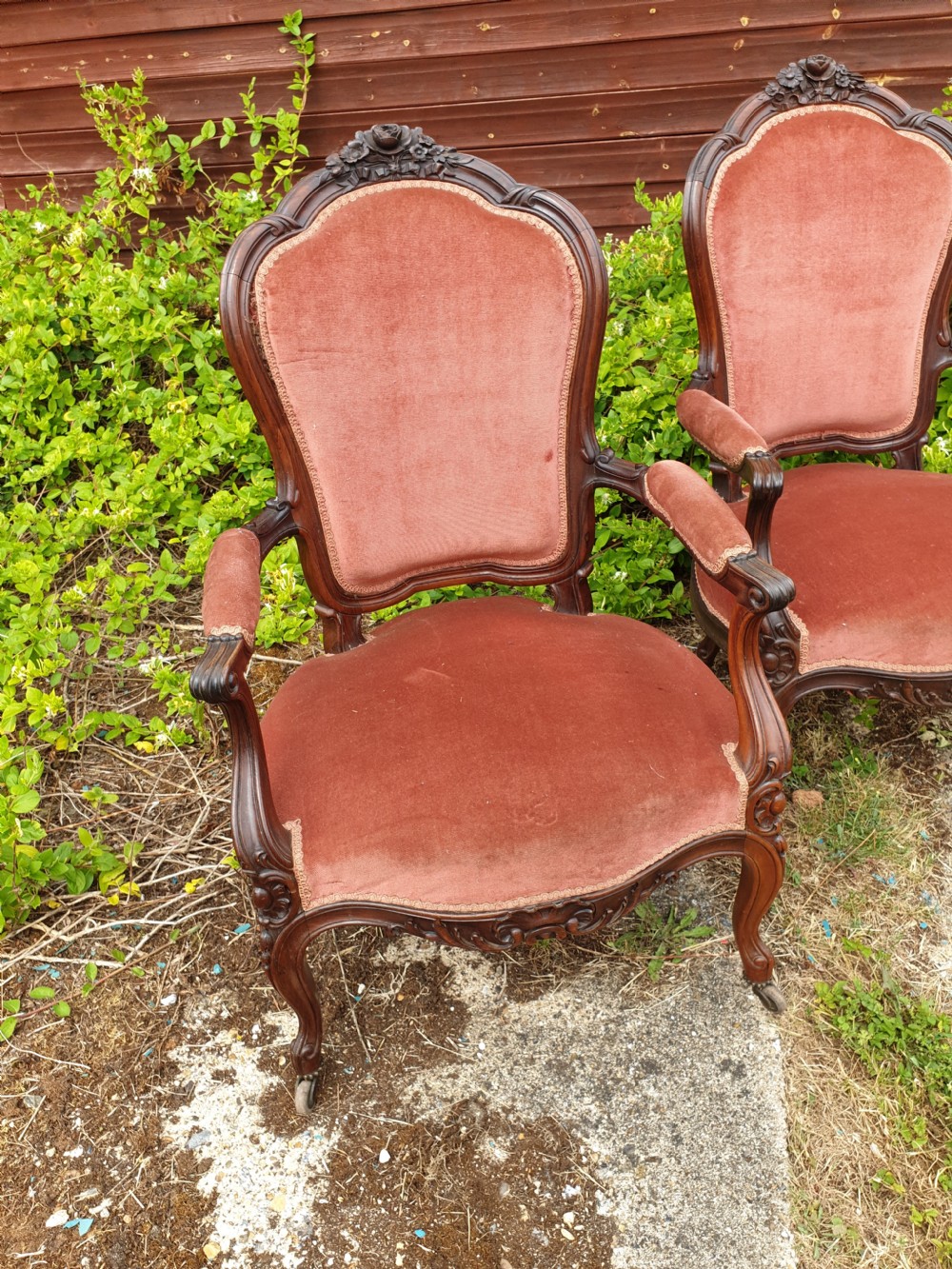 Pair of 19th century carved rosewood Fauteuil  View II