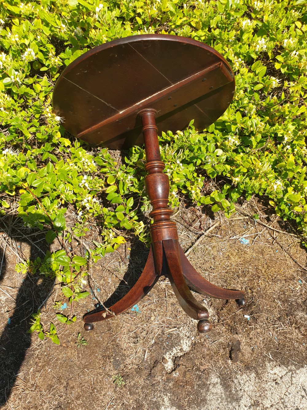 Early 19th century oak tripod pedestal occasional table. View II