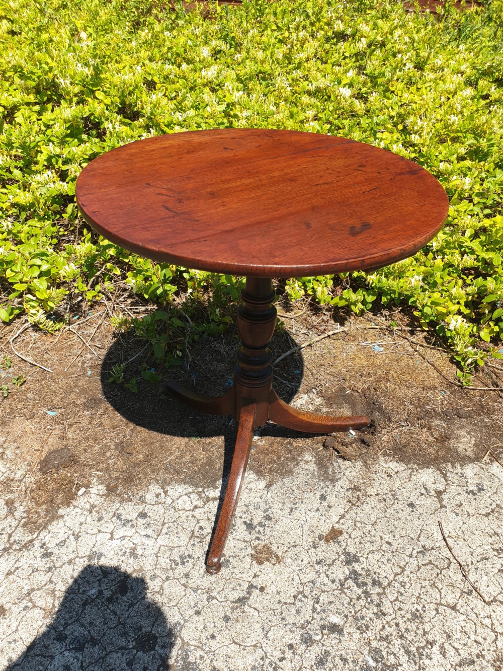 Early 19th century oak tripod pedestal occasional table. View III