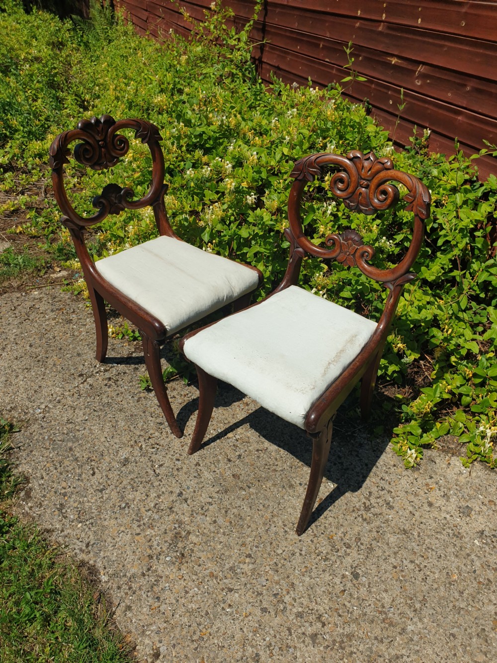 Pair of William the Fourth mahogany hall chairs