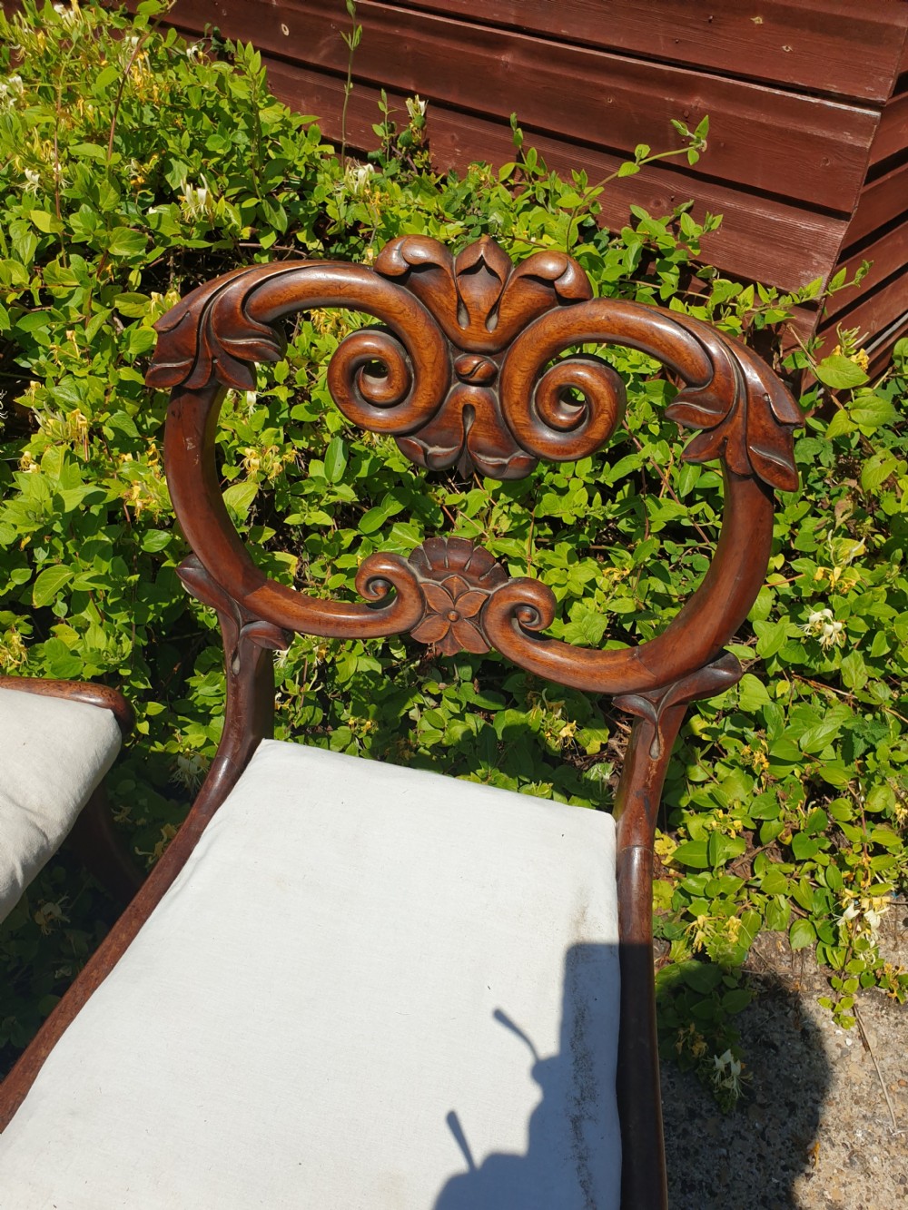Pair of William the Fourth mahogany hall chairs View II