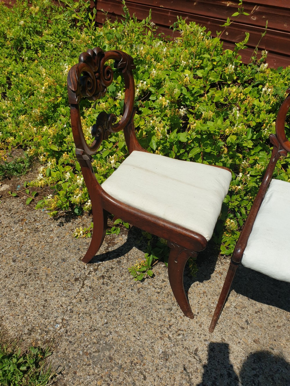 Pair of William the Fourth mahogany hall chairs View III