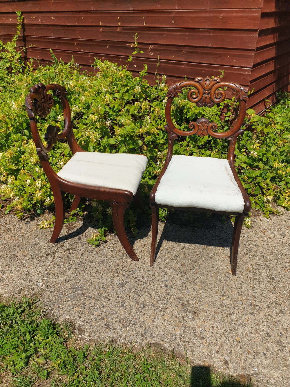 Pair of William the Fourth mahogany hall chairs View IV