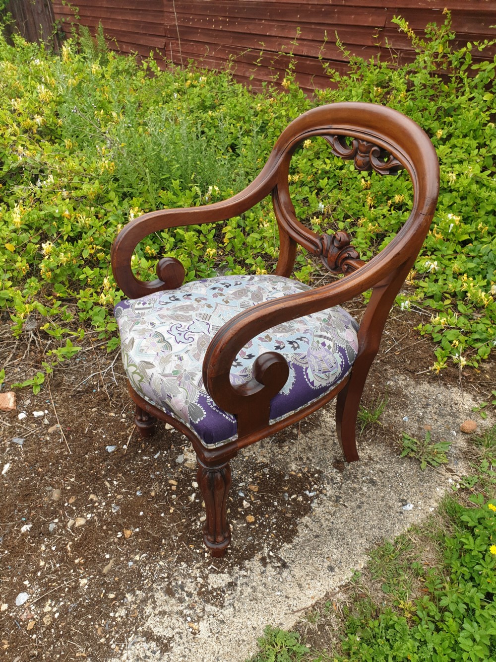 Mid 19th century scroll arm mahogany desk armchair. 