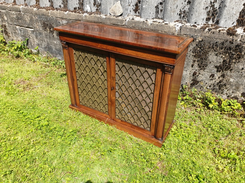 Regency rosewood 2 door cabinet. 