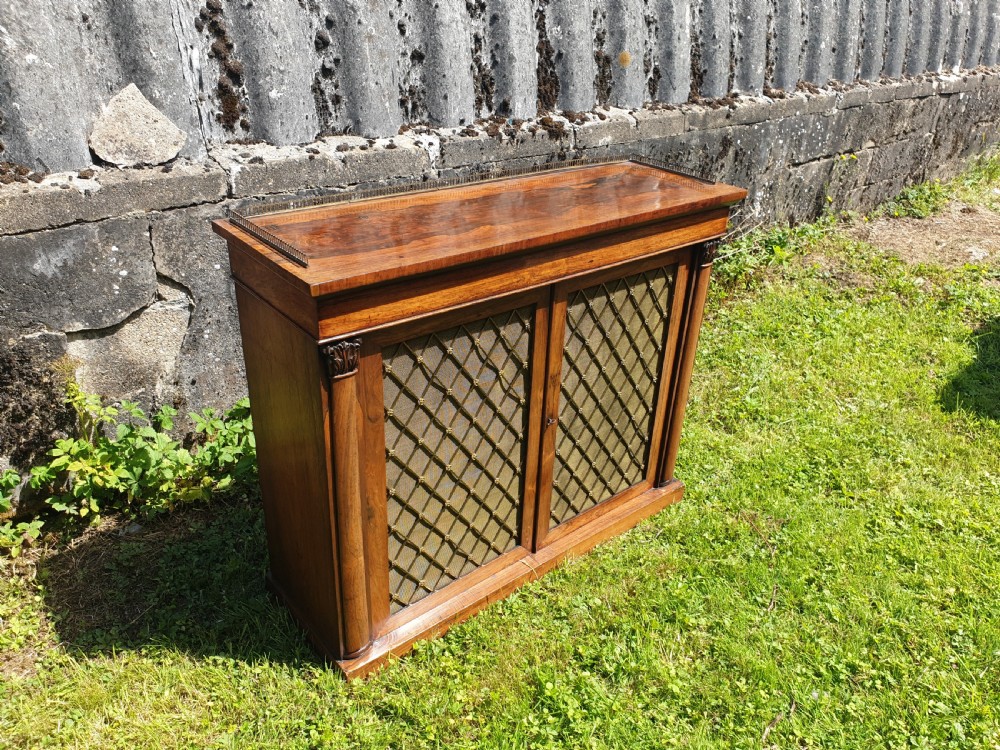 Regency rosewood 2 door cabinet.  View III