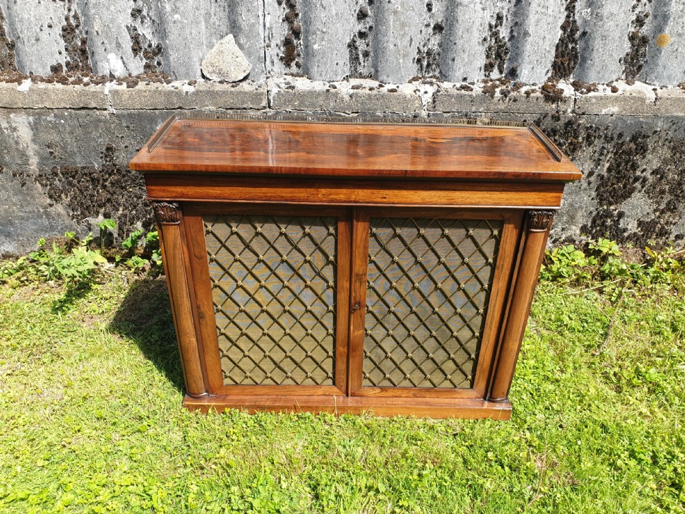 Regency rosewood 2 door cabinet.  View IV