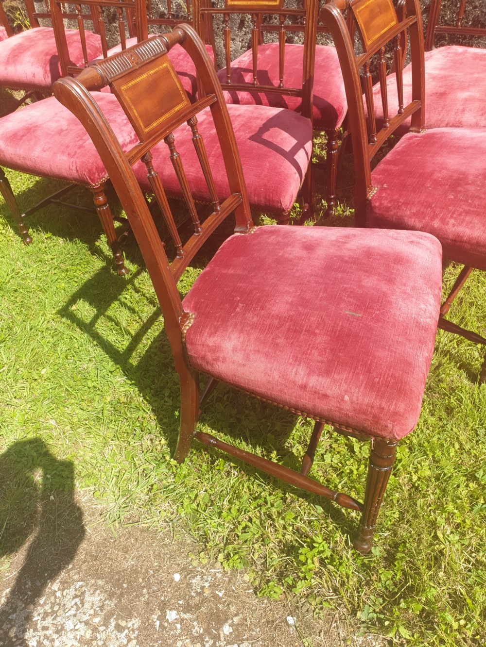 Set of 10 mahogany Sheraton revival dining chairs  View II