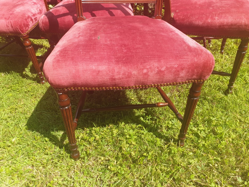 Set of 10 mahogany Sheraton revival dining chairs  View IV