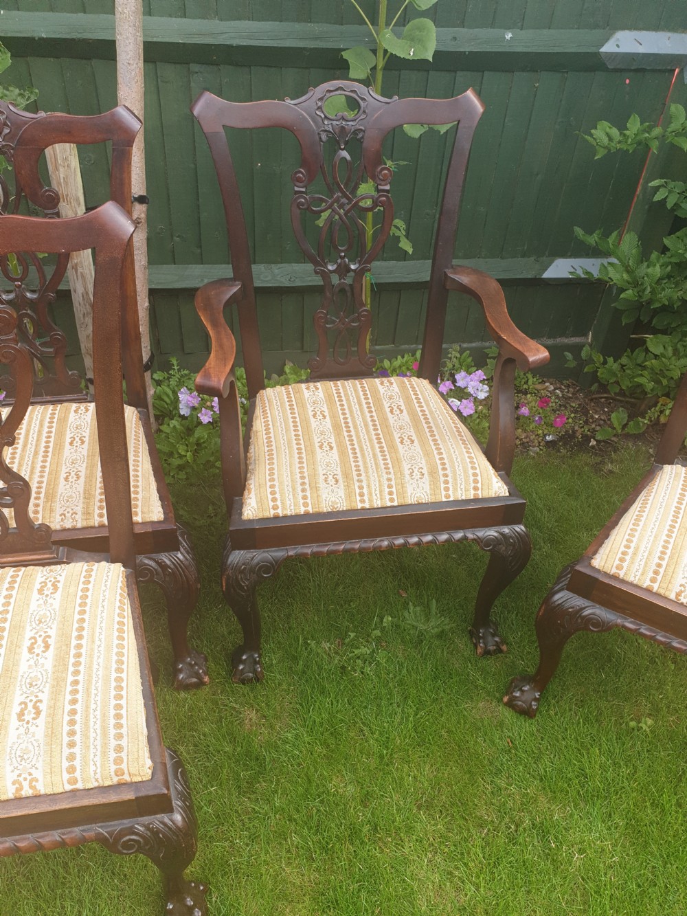 Set of 8 carved mahogany Chippendale style dining chairs View IV