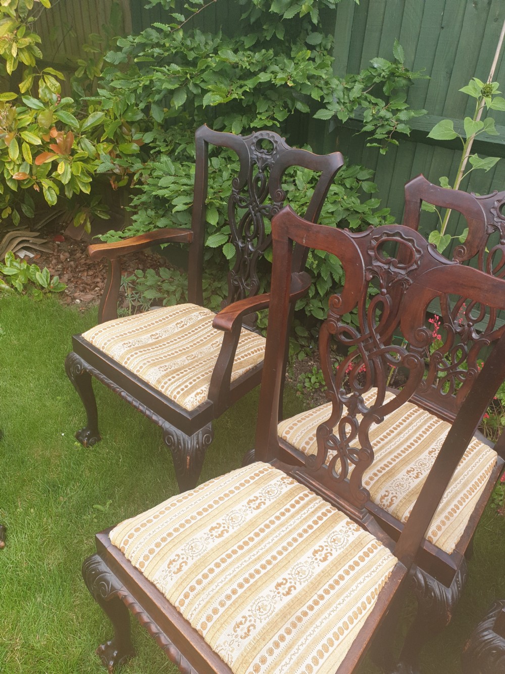 Set of 8 carved mahogany Chippendale style dining chairs View V