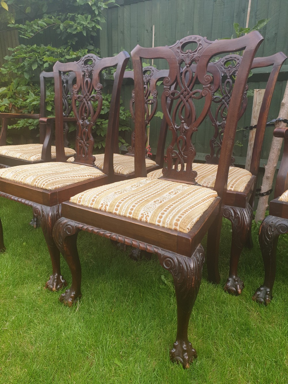 Set of 8 carved mahogany Chippendale style dining chairs View VI
