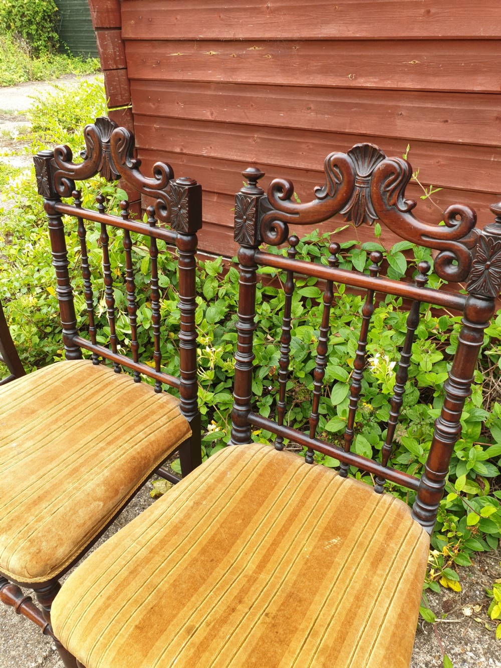 Pair of pretty early Victorian bedroom chairs. View II