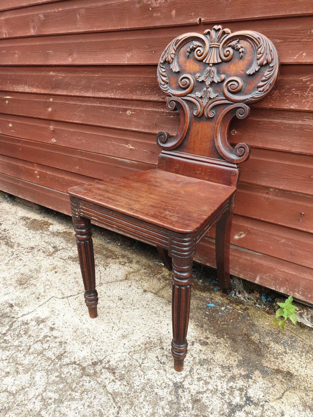 Regency mahogany hall chair in the style of Gillows 