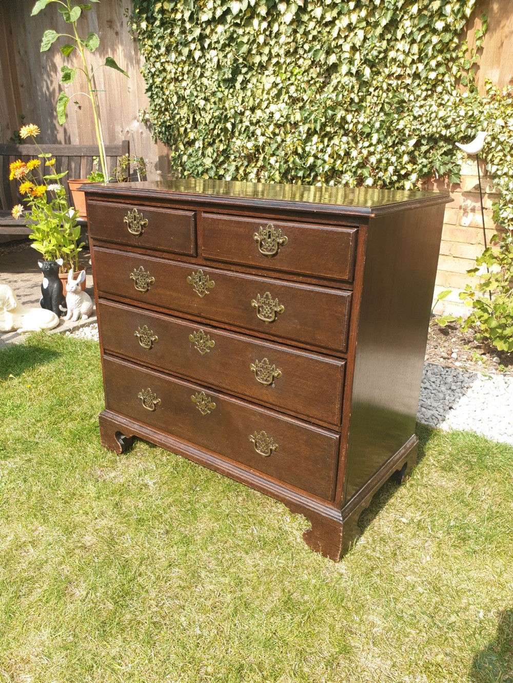 Antique compact oak chest of drawers
