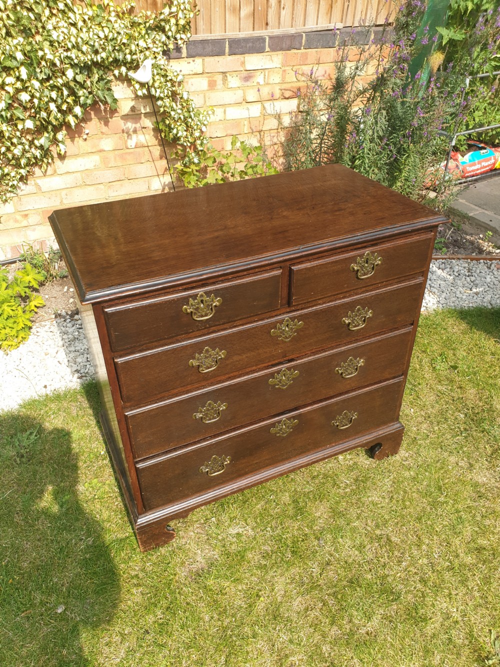 Antique compact oak chest of drawers View V