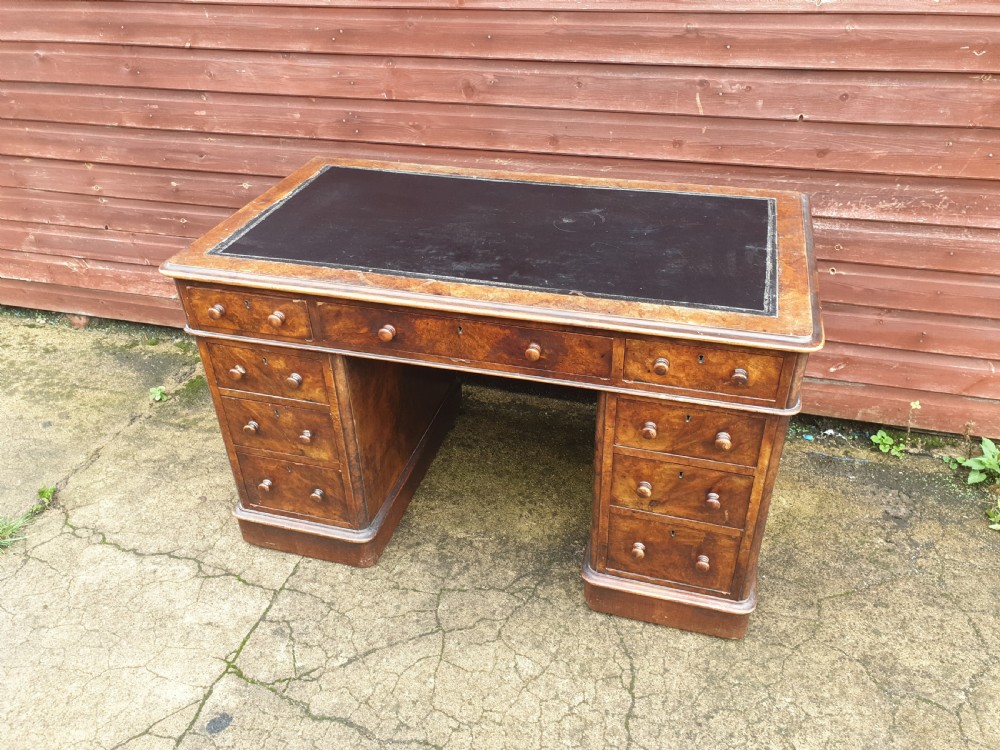Victorian burr walnut pedestal desk 