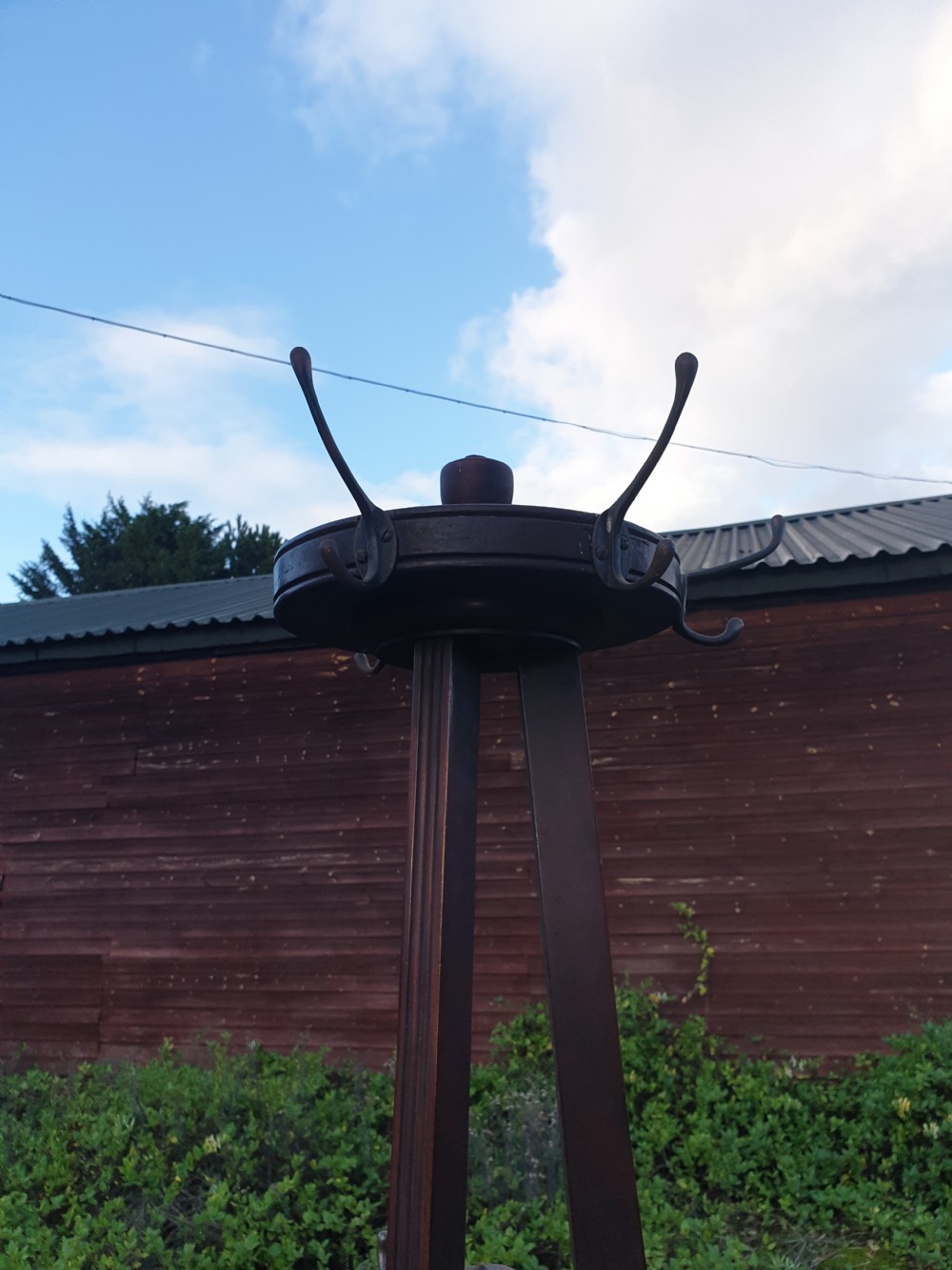 Edwardian mahogany hat and coat stand View VII