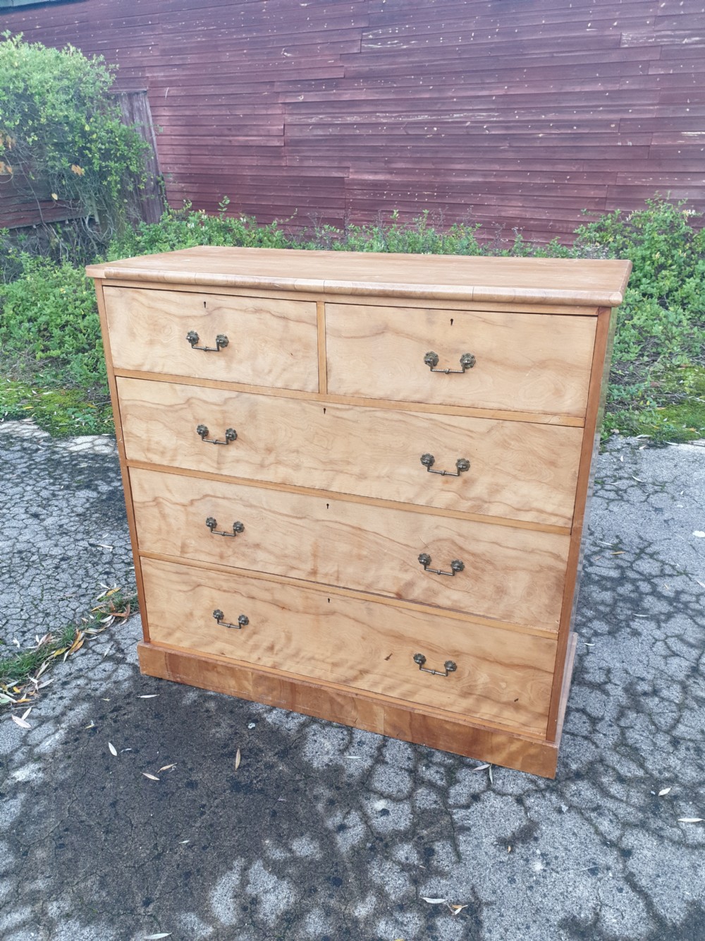 Victorian satin birch chest of drawers 