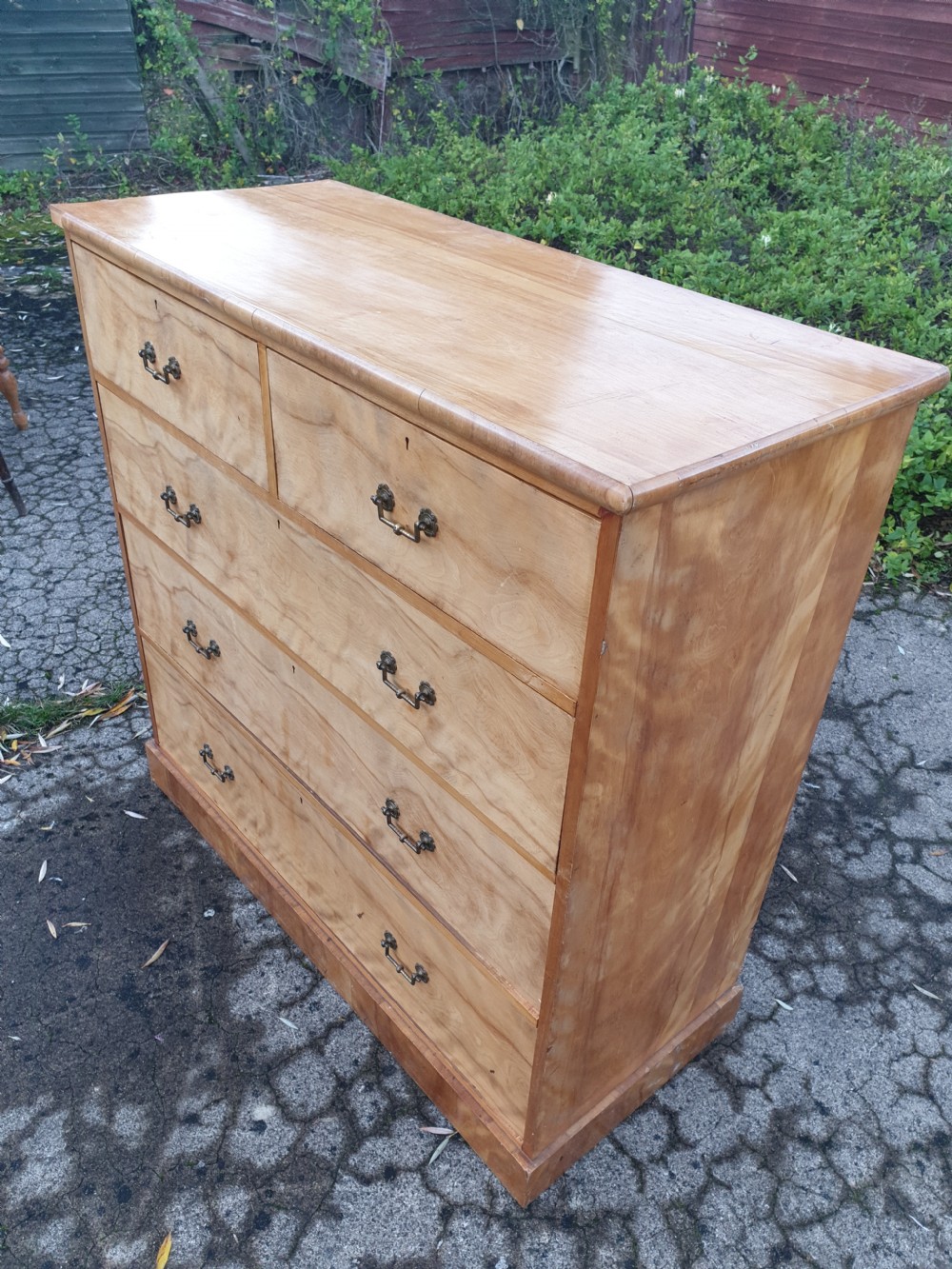 Victorian satin birch chest of drawers  View II