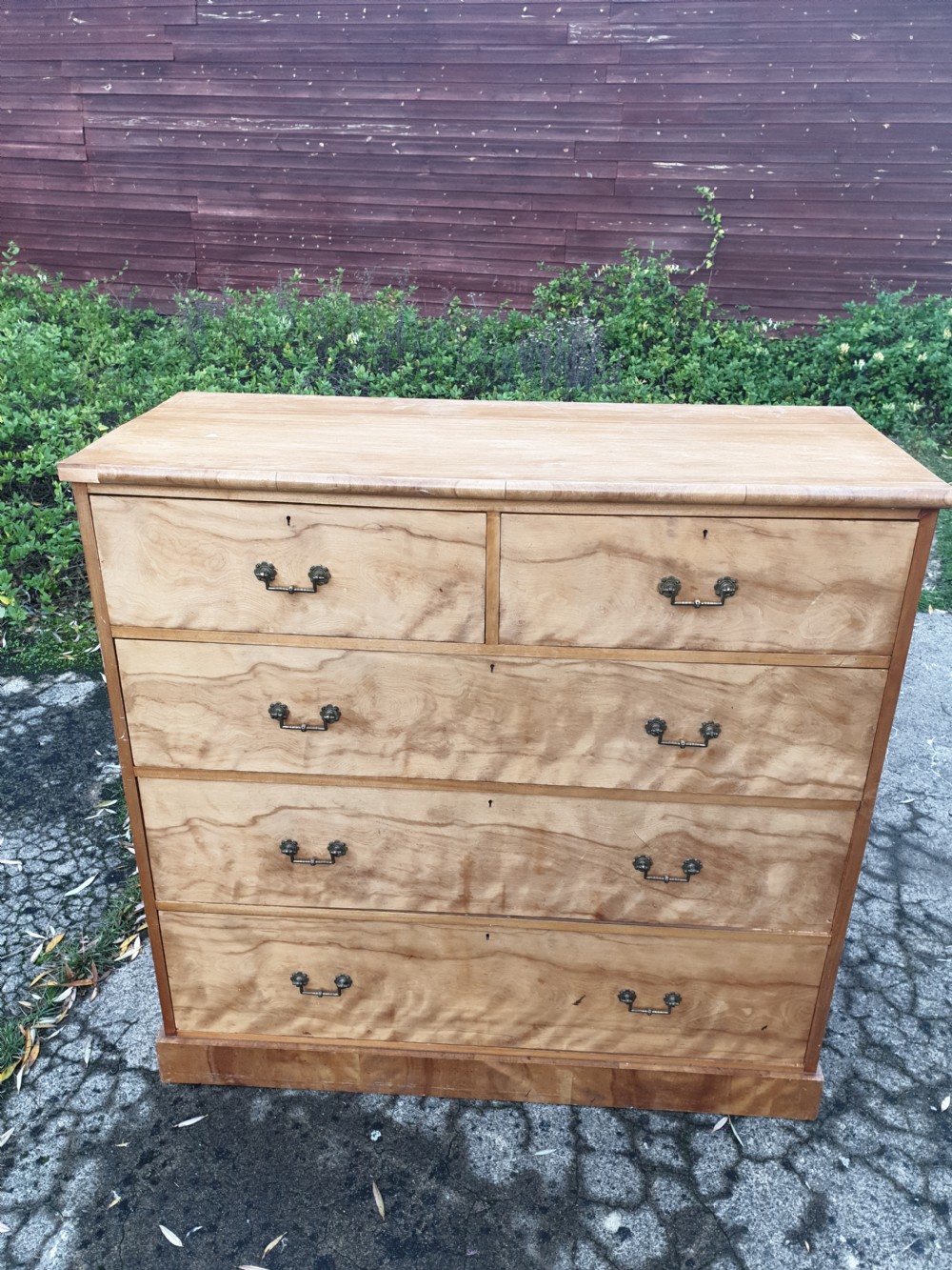 Victorian satin birch chest of drawers  View III