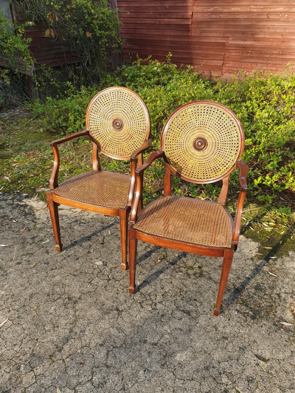 Pair of mahogany caned armchairs 