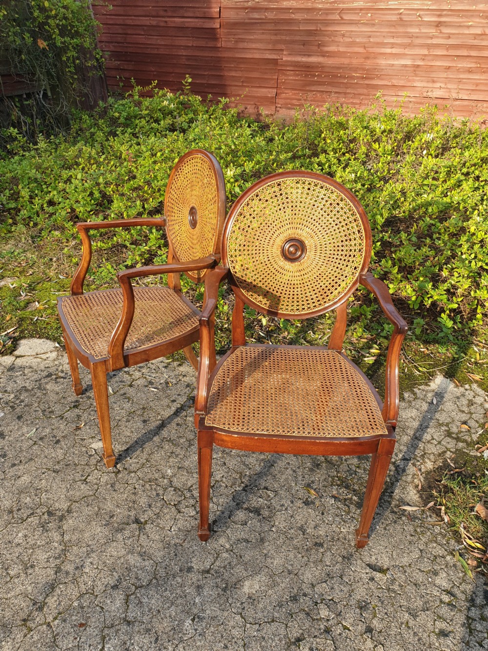 Pair of mahogany caned armchairs  View IV