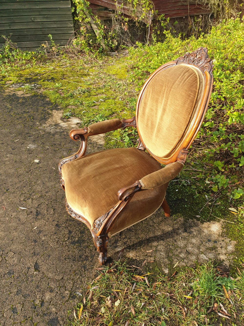 Mid Victorian carved walnut framed spoon back armchair.  View IV