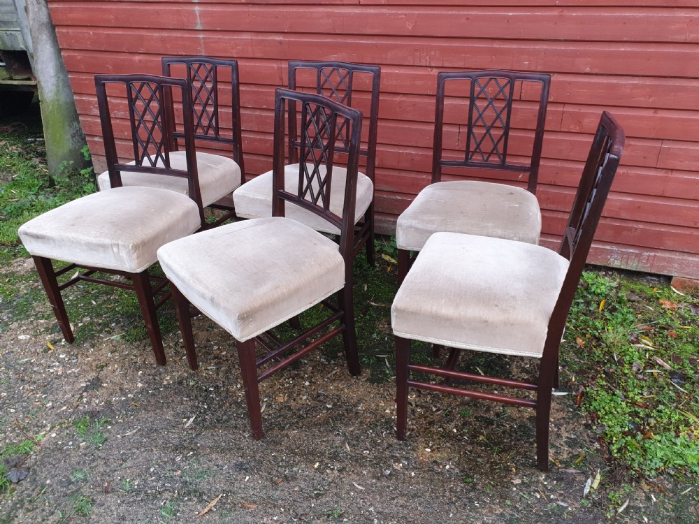 Set of 6 good quality mahogany framed dining chairs 