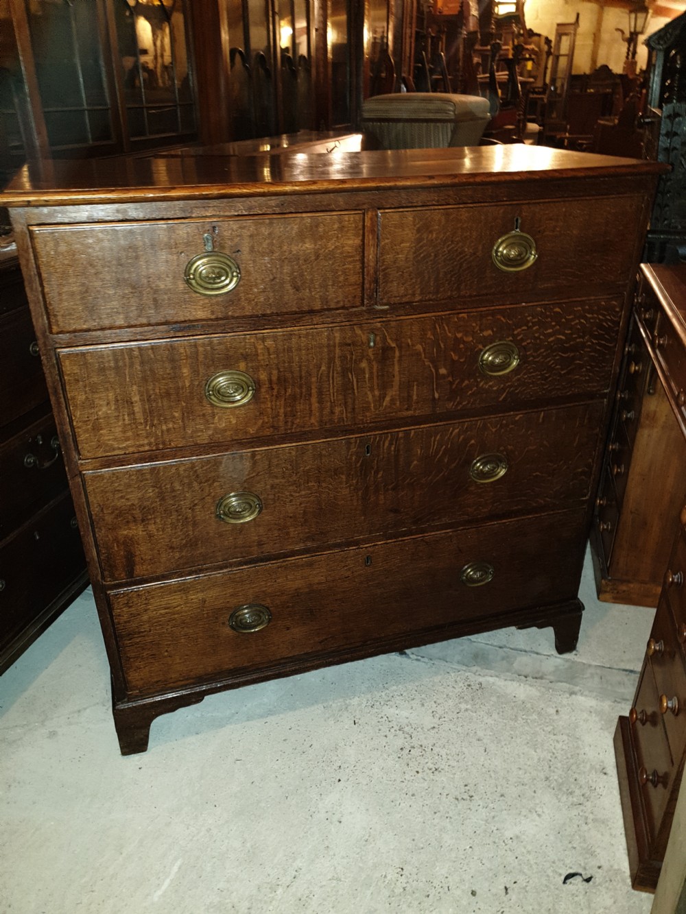 Late Georgian oak chest of drawers  View IV