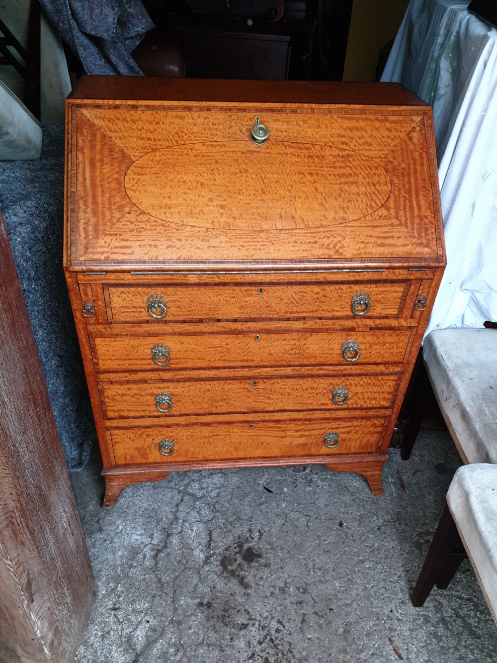 Edwardian satinwood bureau