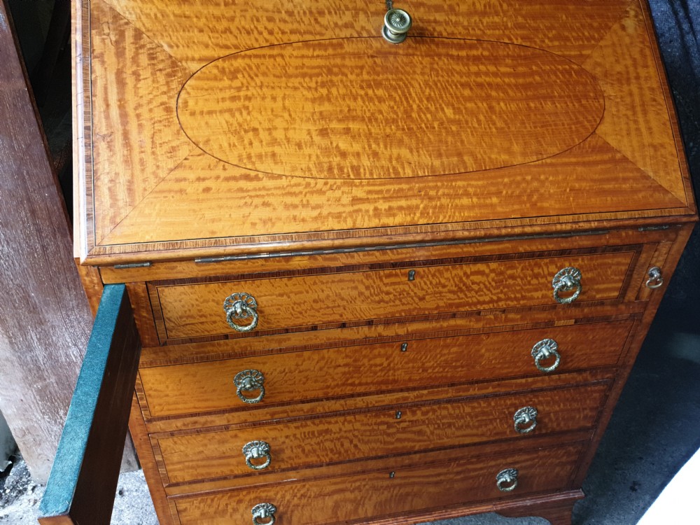 Edwardian satinwood bureau View VIII