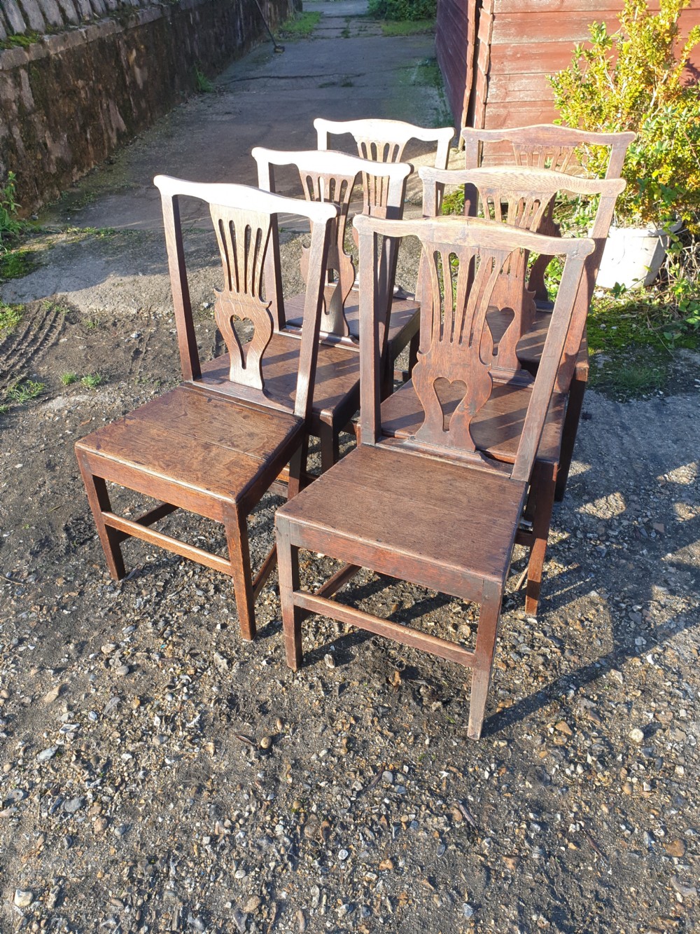 Set of 6 oak early 19th century dining chairs.