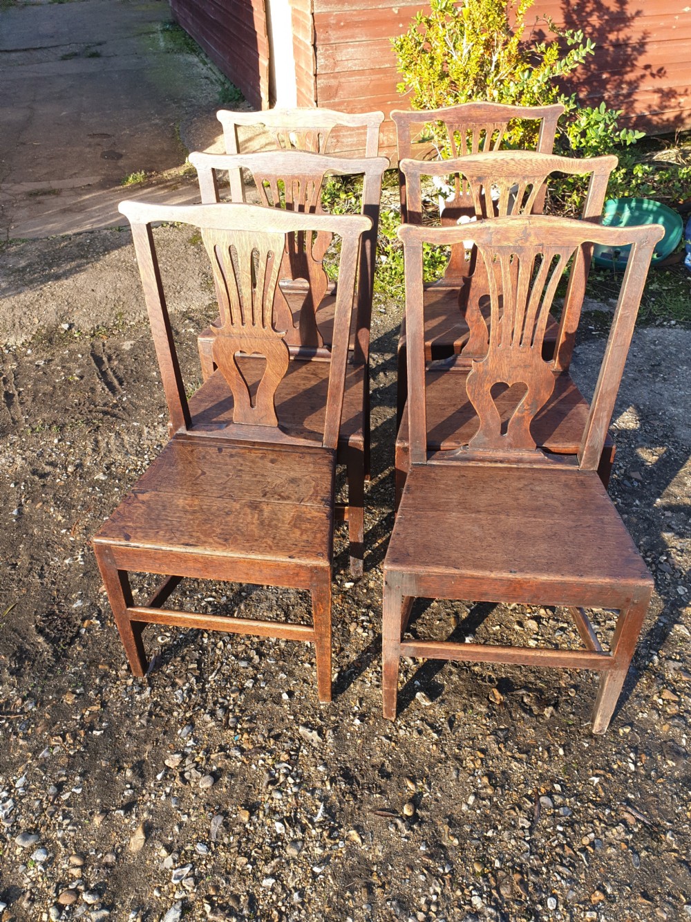 Set of 6 oak early 19th century dining chairs. View II