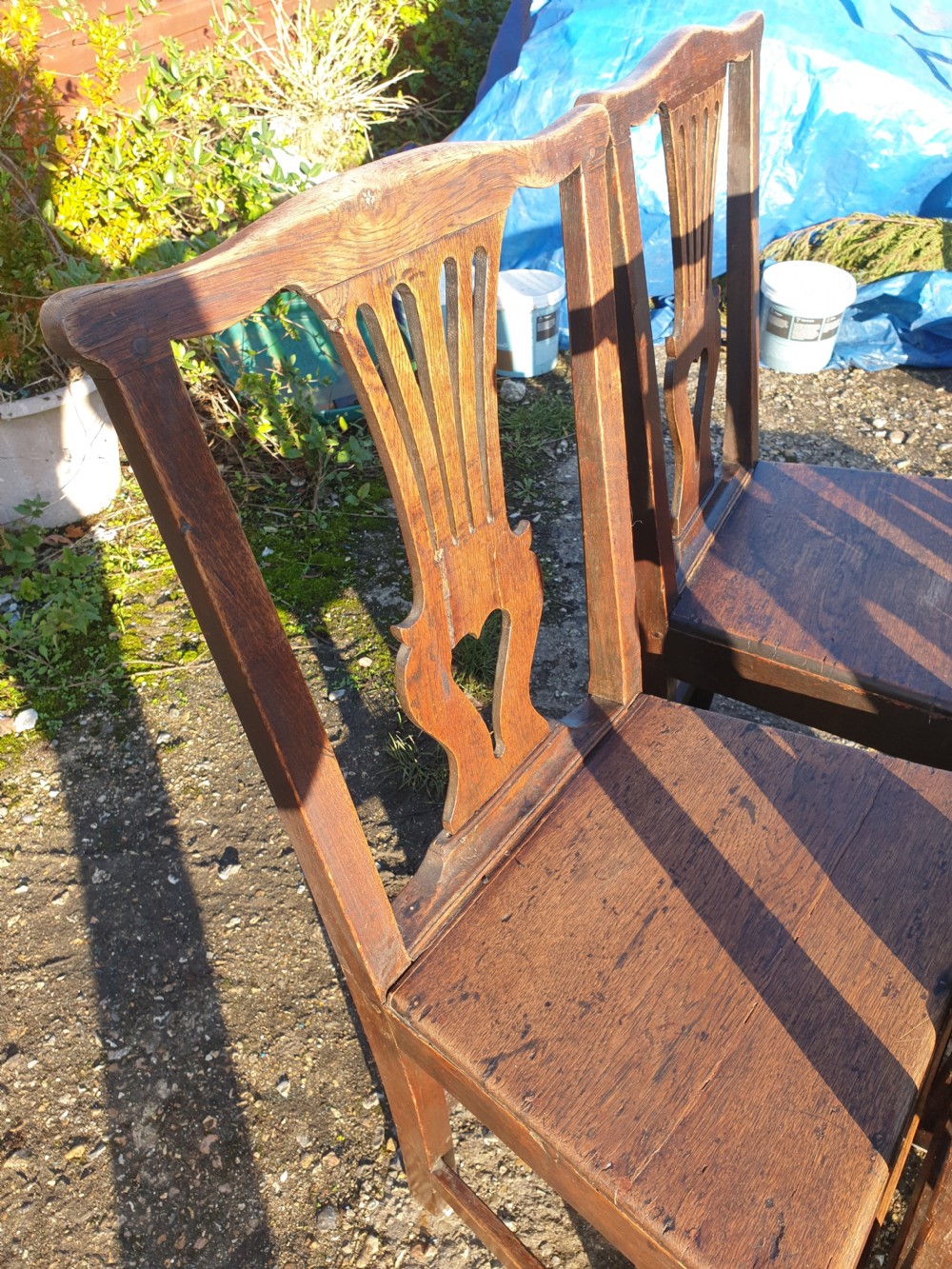 Set of 6 oak early 19th century dining chairs. View VII