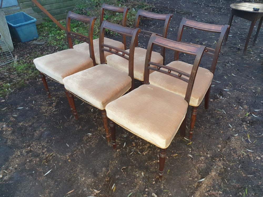 Set of 6 Regency mahogany dining chairs.  View II