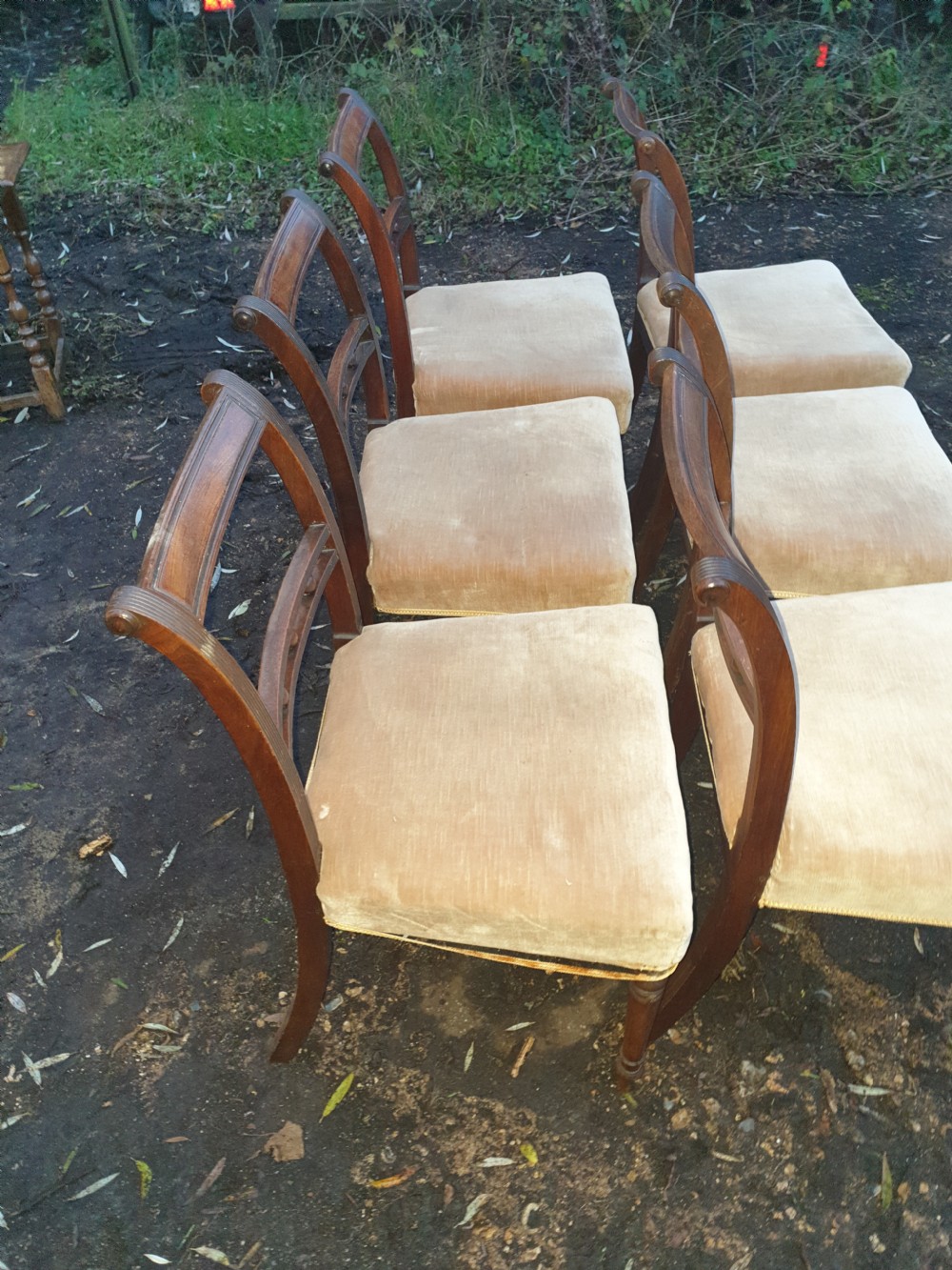 Set of 6 Regency mahogany dining chairs.  View IV