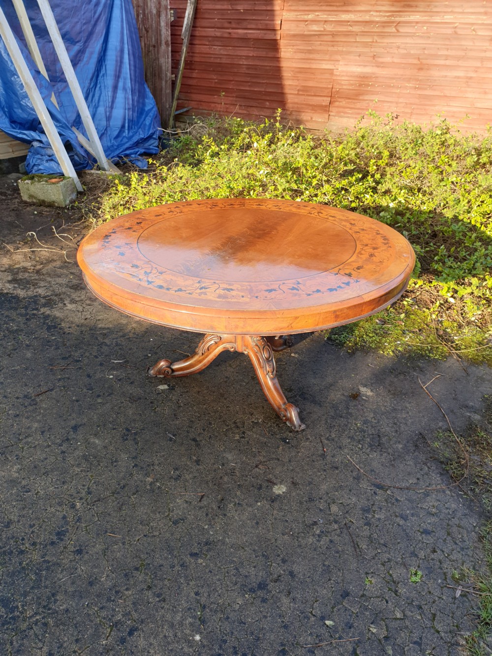 Early Victorian inlaid tip top pedestal table.  View V
