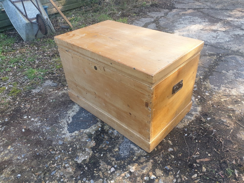 Victorian pine trunk  View II
