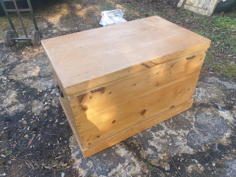 Victorian pine trunk  View III