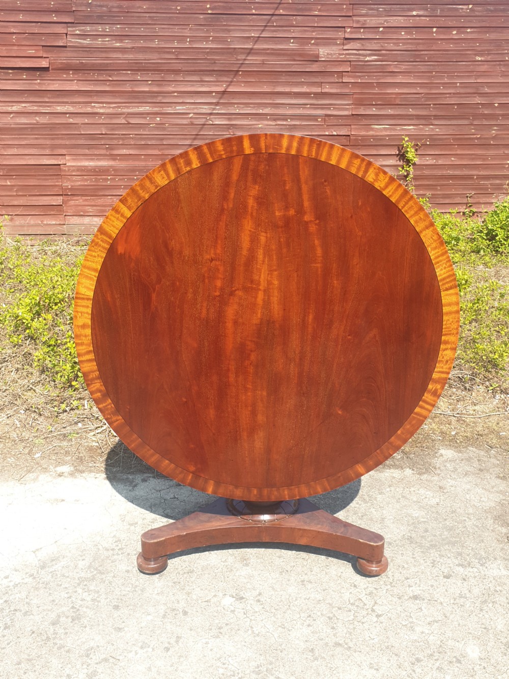 Regency mahogany and banded tip top pedestal table 